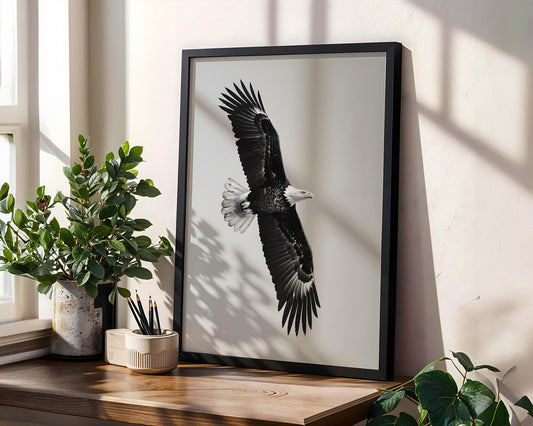 Wildlife Poster | Eagle in Flight Art Print | Black & White Photography, Modern Wall Decor wall art print, minimalist black and white poster, modern Scandinavian wall decor, Monohaus