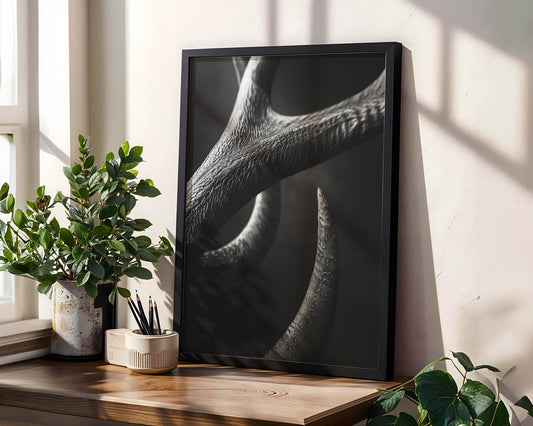 Wildlife Poster | Antler Print | Minimalist Black & White Photography wall art print, minimalist black and white poster, modern Scandinavian wall decor, Monohaus