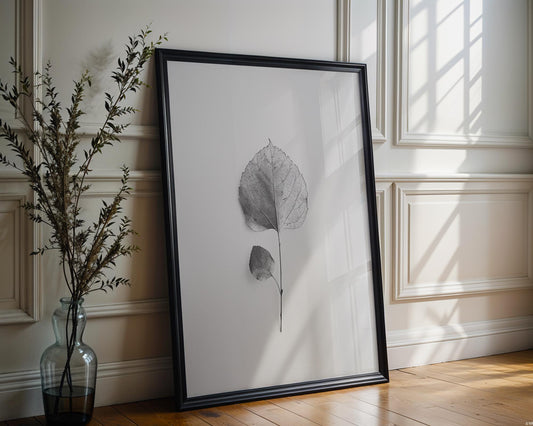 Botanical Photo | Minimalist Leaf Print | Black and White Fine Art Poster wall art print, minimalist black and white poster, modern Scandinavian wall decor, Monohaus
