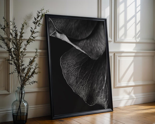 Botanical Photo | Abstract Floral Macro Print | Dark Petals, Minimalist Photography abstract wall art print, geometric minimalist poster, modern Scandinavian decor, Monohaus