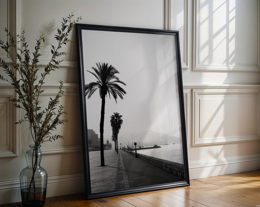 World Landmark | Cannes Promenade Palm Tree Print | French Riviera Black and White Photography wall art print, minimalist black and white poster, modern Scandinavian wall decor, Monohaus