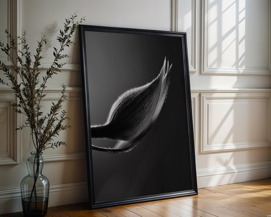Botanical Photo | Black and White Plant Bud Print | Minimalist Fine Art Photography wall art print, minimalist black and white poster, modern Scandinavian wall decor, Monohaus