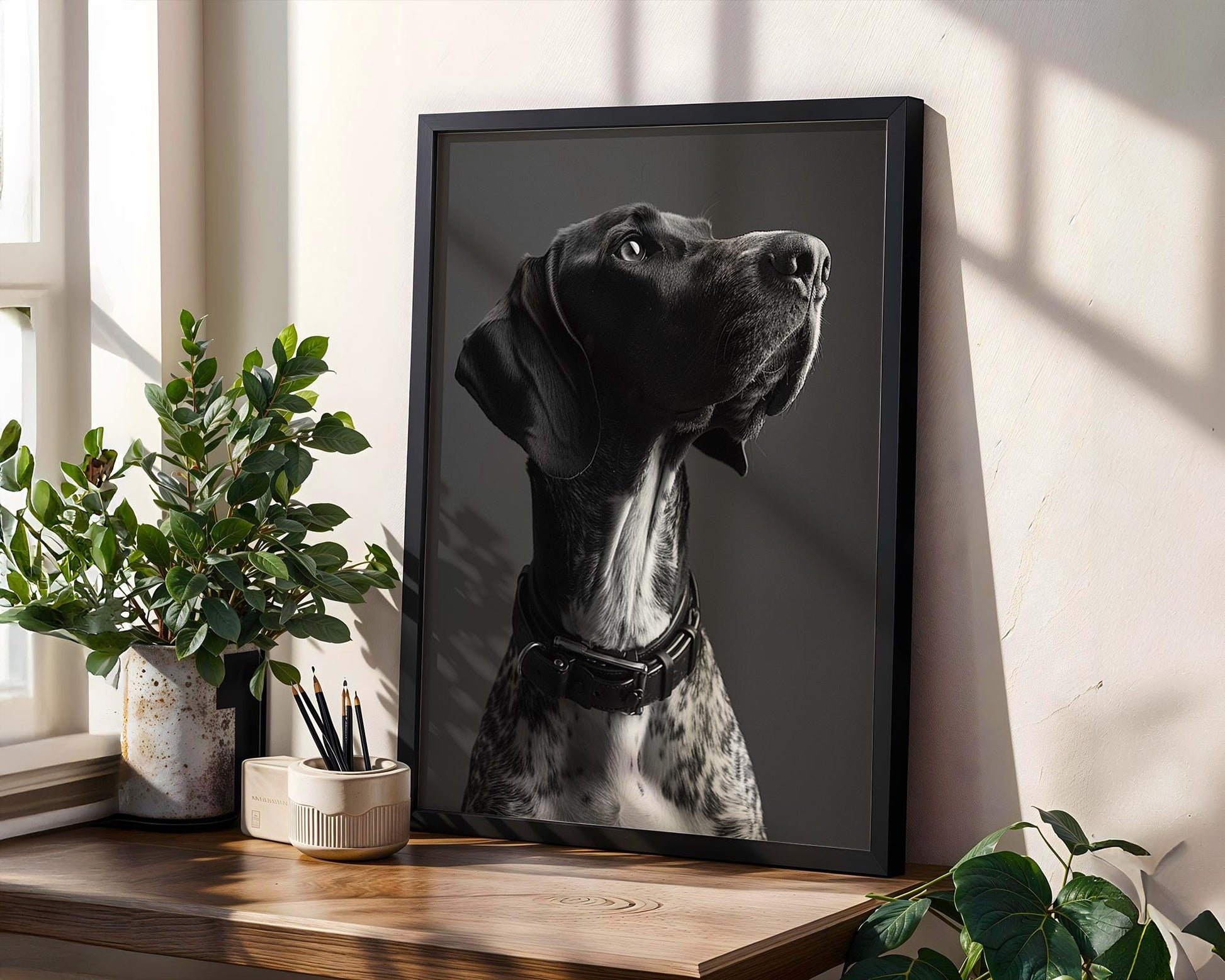 Dog Photography German Shorthaired Pointer Print | Modern Pet Portrait, Studded Collar wall art print, minimalist black and white poster, modern Scandinavian wall decor, Monohaus
