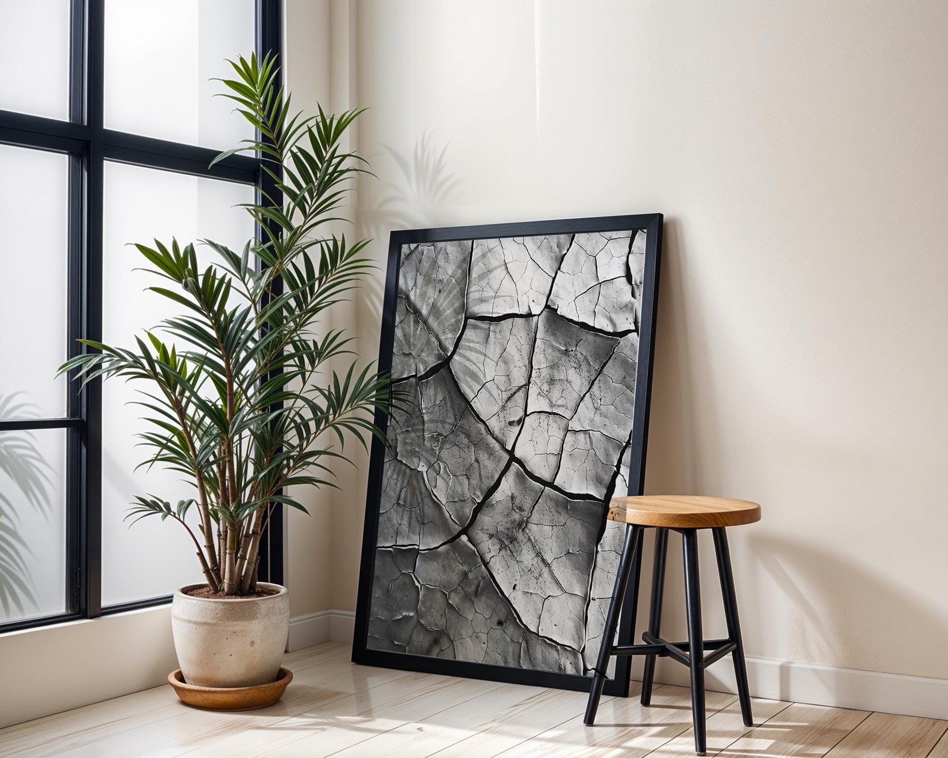 Botanical Photo | Cracked Earth Photography Print | Modern Minimalist Wall Art wall art print, minimalist black and white poster, modern Scandinavian wall decor, Monohaus