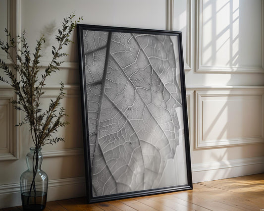 Botanical Photo | Black and White Leaf Print | Minimalist  Art wall art print, minimalist black and white poster, modern Scandinavian wall decor, Monohaus