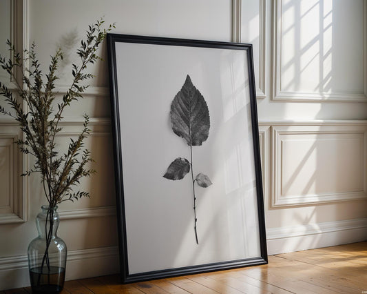 Botanical Photo | Monohaus Black and White Leaf Print | Modern Minimalist Wall Art wall art print, minimalist black and white poster, modern Scandinavian wall decor, Monohaus