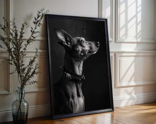 Dog Photography Monohaus Whippet Portrait Print | Moody Black and White Pet Art wall art print, minimalist black and white poster, modern Scandinavian wall decor, Monohaus