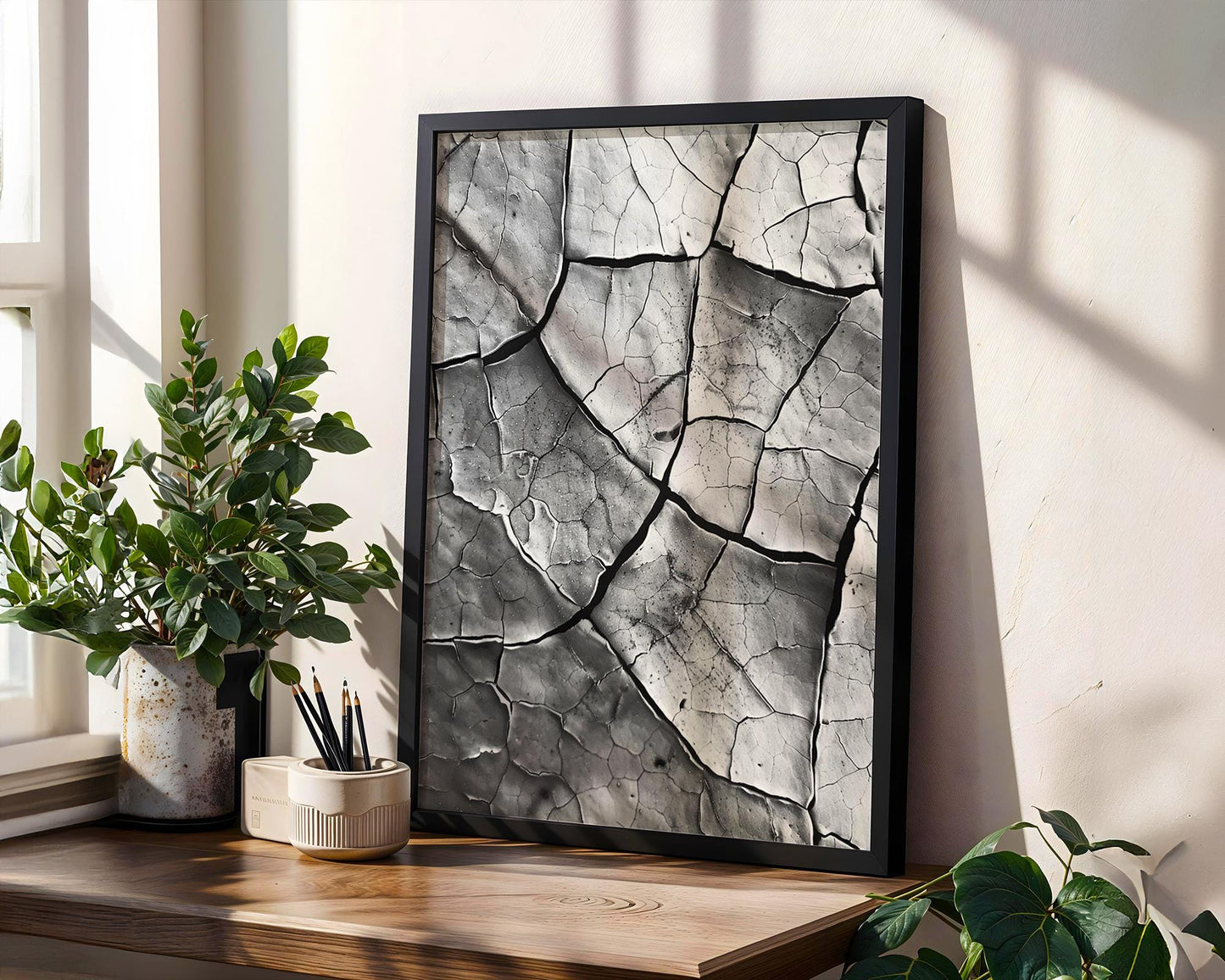 Botanical Photo | Cracked Earth Photography Print | Modern Minimalist Wall Art wall art print, minimalist black and white poster, modern Scandinavian wall decor, Monohaus