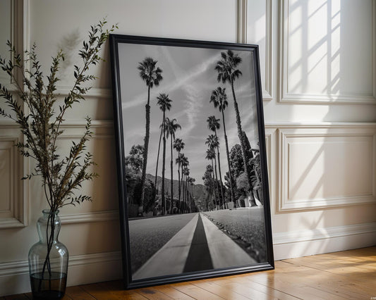 World Landmark | Beverly Hills Palm Tree Print | Black and White Los Angeles Photography wall art print, minimalist black and white poster, modern Scandinavian wall decor, Monohaus