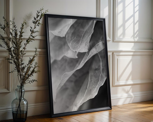Botanical Photo | Abstract Leaf Macro Photography Print | Black & White Minimal abstract wall art print, geometric minimalist poster, modern Scandinavian decor, Monohaus