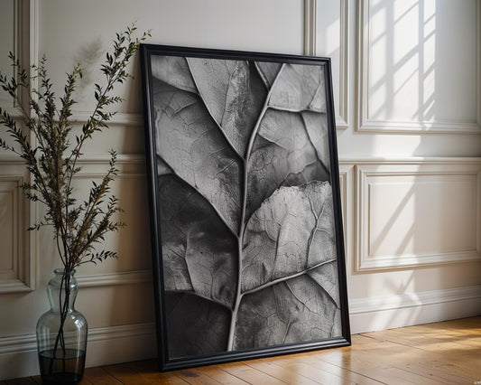 Botanical Photo | Fiddle Leaf Fig Print | Black and White Abstract Plant Wall Art abstract wall art print, geometric minimalist poster, modern Scandinavian decor, Monohaus