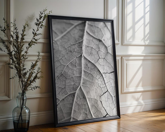 Botanical Photo | Monochrome Leaf Veins Print | Minimalist Nature Photography wall art print, minimalist black and white poster, modern Scandinavian wall decor, Monohaus