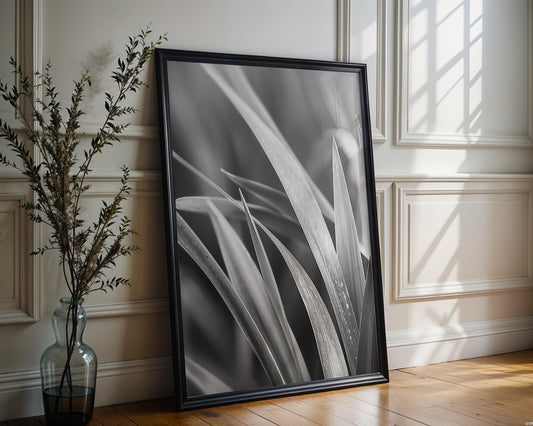 Botanical Photo | Abstract Leaf Macro Photography Print | Black & White Minimal abstract wall art print, geometric minimalist poster, modern Scandinavian decor, Monohaus