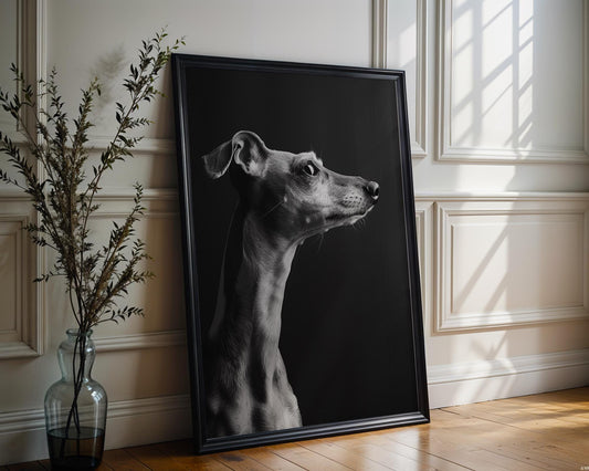 Dog Photography Whippet Pet Art Print | Minimalist Scandinavian Home Decor wall art print, minimalist black and white poster, modern Scandinavian wall decor, Monohaus
