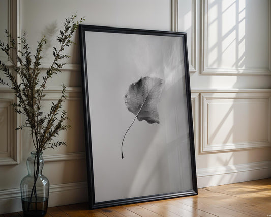Botanical Photo | Abstract Leaf Macro Photography Print | Black & White Minimal abstract wall art print, geometric minimalist poster, modern Scandinavian decor, Monohaus