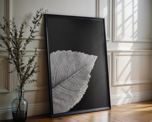 Botanical Photo | Monochrome Leaf Print | Fine Art  Photography, Modern Wall Decor wall art print, minimalist black and white poster, modern Scandinavian wall decor, Monohaus