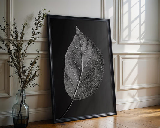 Botanical Photo | Abstract Leaf Macro Photography Print | Black & White Minimal abstract wall art print, geometric minimalist poster, modern Scandinavian decor, Monohaus
